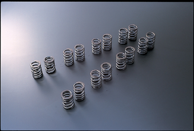 Tomei Type A valve springs